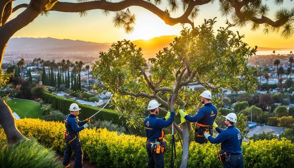 Certified Arborists for Tree Maintenance in Santa Barbara