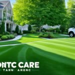 top care lawn care