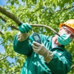 anything tree care
