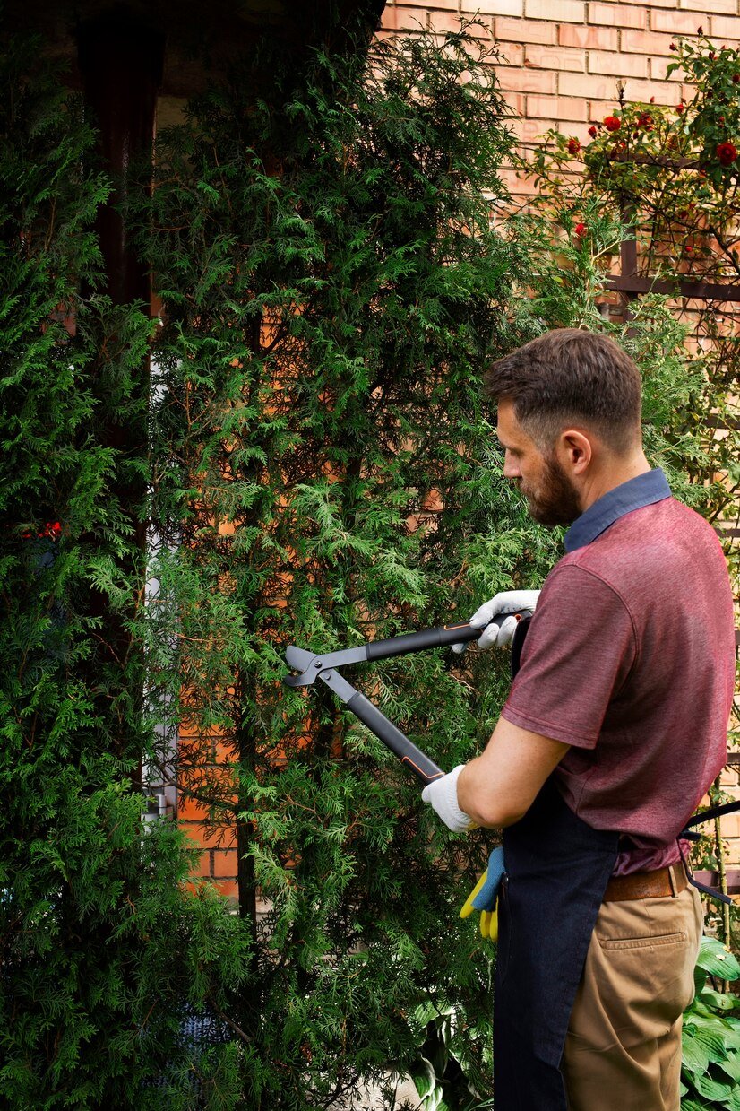 Tree Trimming Services​