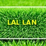 recommended lawn care companies
