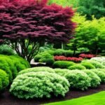 residential tree and shrub care